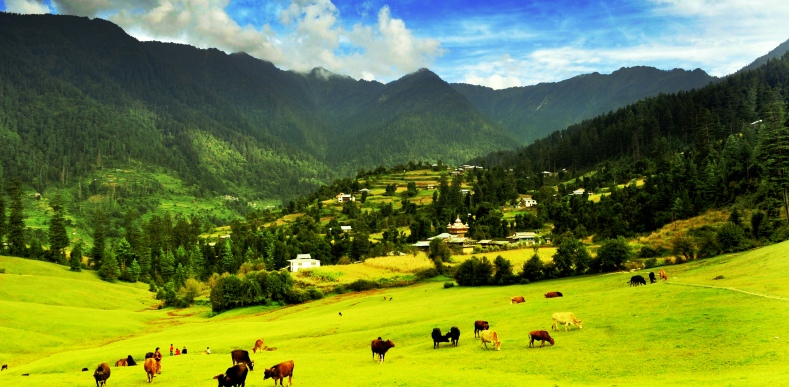 Shimla Manali Dhramshala Dalhousie